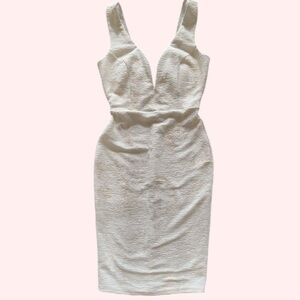Windsor Cream Silver & Gold Metallic Deep Plunge Backless Bodycon Dress Sz S